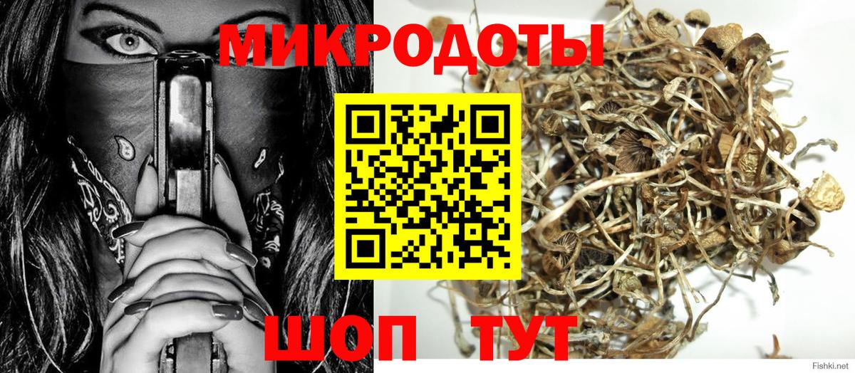 Псилоцибиновые грибы мицелий  Вход с VPN  Котовск  Псилоцибиновые грибы прущие грибы 