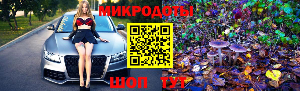 Псилоцибиновые грибы MAGIC MUSHROOMS Котовск